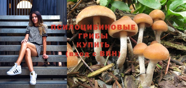 гидропоника Алексин