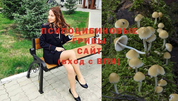 хмурый Абдулино