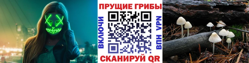 Галлюциногенные грибы мухоморы Задонск